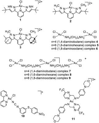 Gold(III) Complexes: An Overview on Their Kinetics, Interactions With DNA/BSA, Cytotoxic Activity, and Computational Calculations